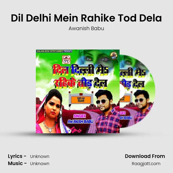 Dil Delhi Mein Rahike Tod Dela - Awanish Babu album cover 