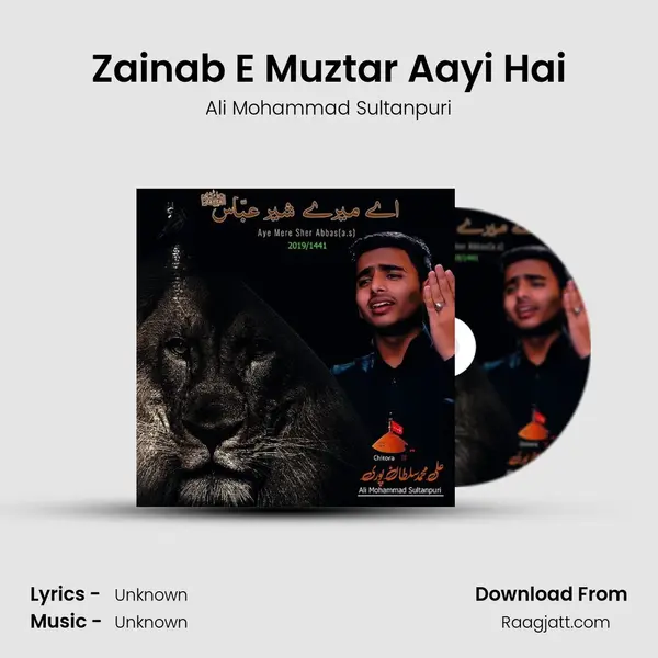 Zainab E Muztar Aayi Hai - Ali Mohammad Sultanpuri album cover 