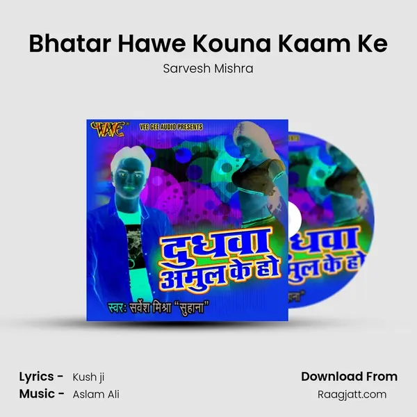 Bhatar Hawe Kouna Kaam Ke - Sarvesh Mishra album cover 