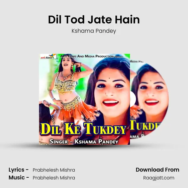 Dil Tod Jate Hain mp3 song