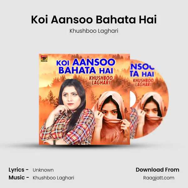 Koi Aansoo Bahata Hai mp3 song