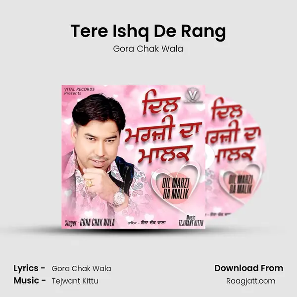 Tere Ishq De Rang mp3 song