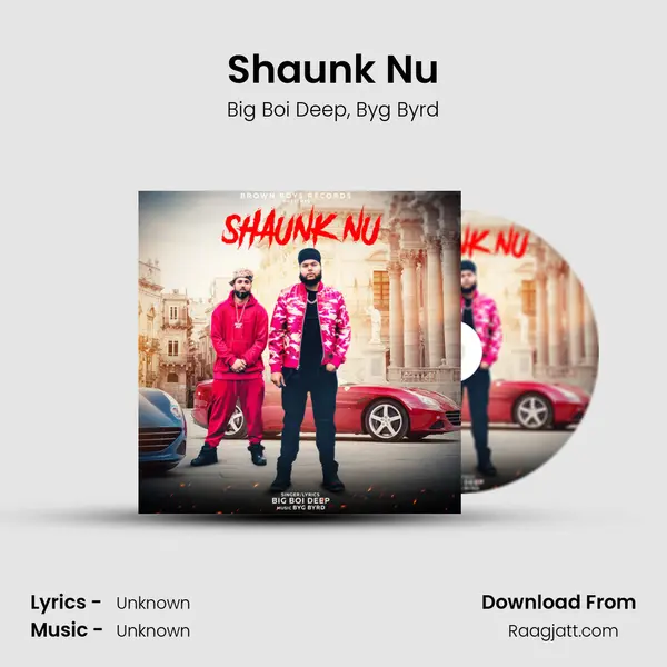 Shaunk Nu - Big Boi Deep album cover 