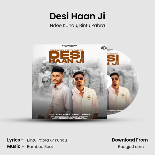 Desi Haan Ji - Ndee Kundu album cover 