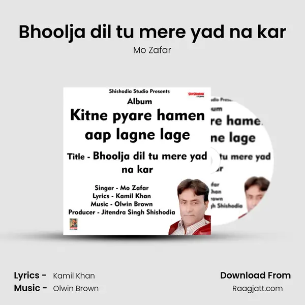 Bhoolja dil tu mere yad na kar - Mo Zafar album cover 