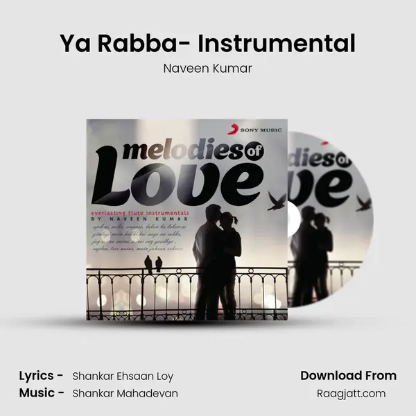 Ya Rabba- Instrumental - Naveen Kumar album cover 