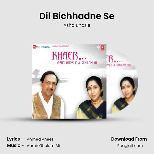 Dil Bichhadne Se mp3 song