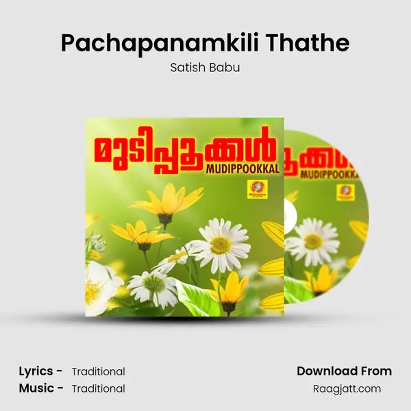 Pachapanamkili Thathe - Satish Babu album cover 