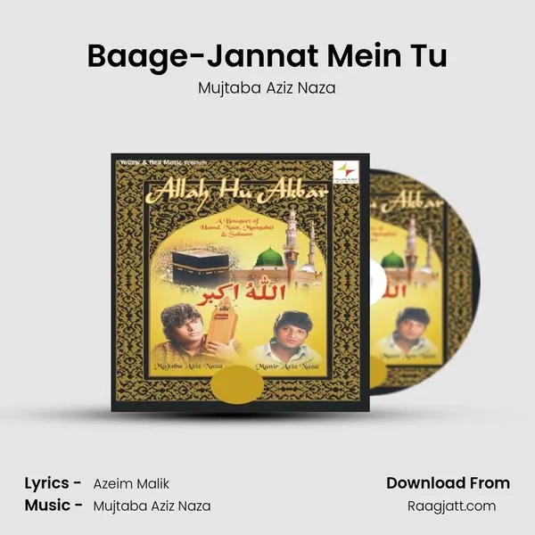 Baage-Jannat Mein Tu - Mujtaba Aziz Naza album cover 