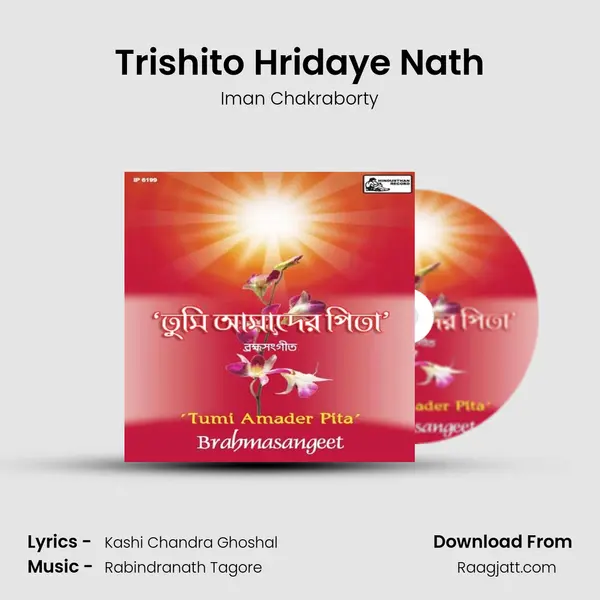 Trishito Hridaye Nath - Iman Chakraborty album cover 