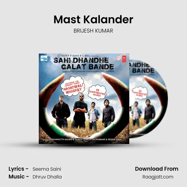 Mast Kalander - BRIJESH KUMAR album cover 