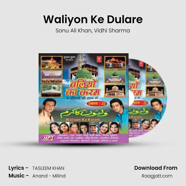 Waliyon Ke Dulare - Sonu Ali Khan album cover 