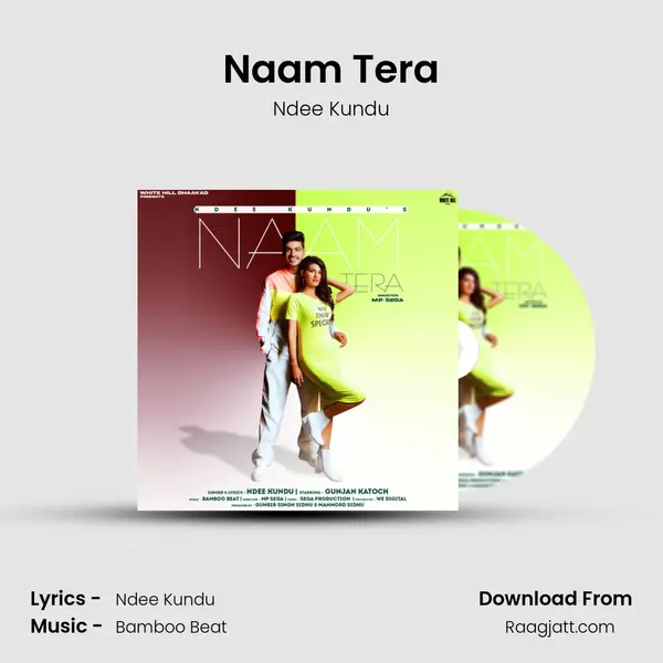 Naam Tera - Ndee Kundu album cover 