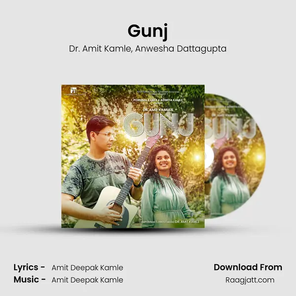 Gunj - Dr. Amit Kamle album cover 