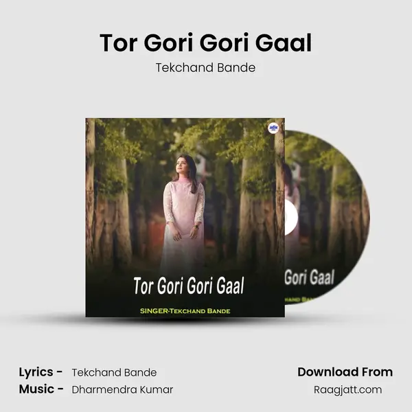 Tor Gori Gori Gaal mp3 song