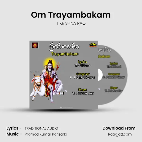 Om Trayambakam - T KRISHNA RAO album cover 