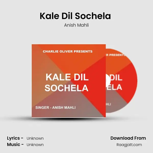 Kale Dil Sochela (Nagpuri Song) - Anish Mahli album cover 