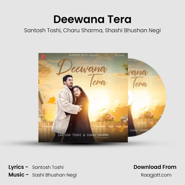 Deewana Tera - Santosh Toshi album cover 