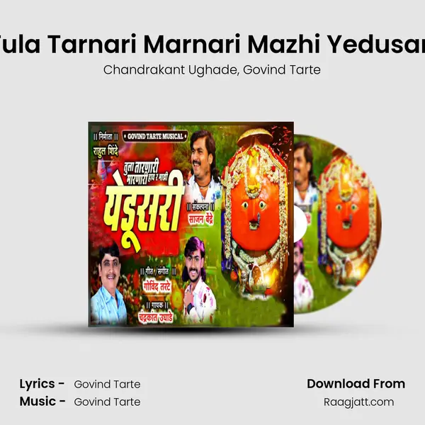 Tula Tarnari Marnari Mazhi Yedusari mp3 song