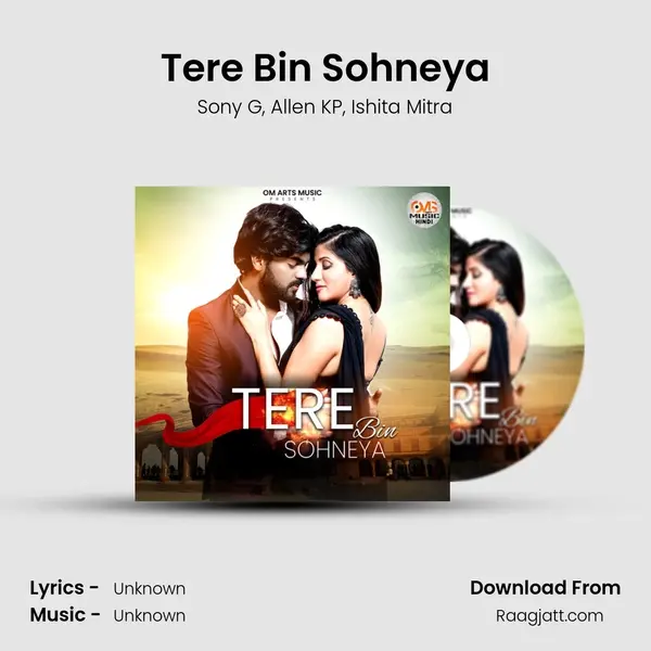 Tere Bin Sohneya - Sony G album cover 