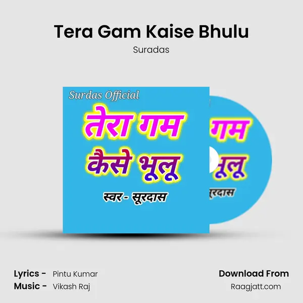 Tera Gam Kaise Bhulu mp3 song