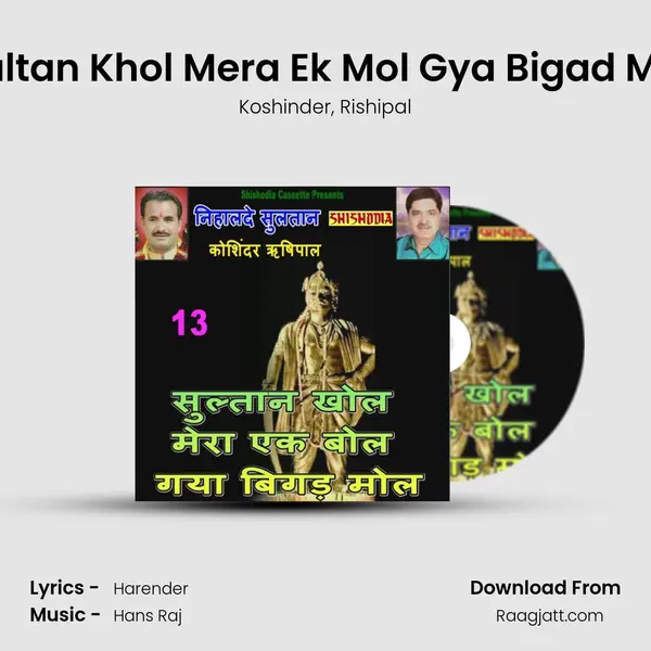 Sultan Khol Mera Ek Mol Gya Bigad Mol mp3 song