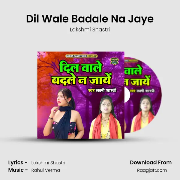 Dil Wale Badale Na Jaye mp3 song