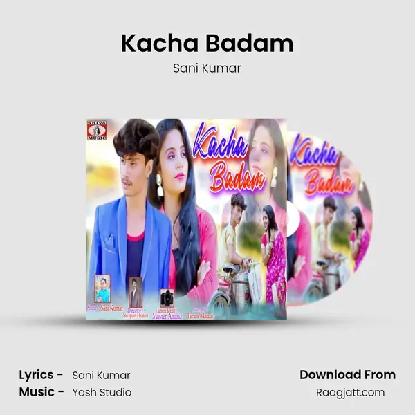 Kacha Badam - Sani Kumar album cover 