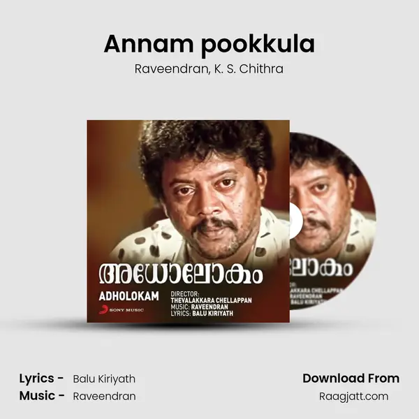 Annam pookkula - Raveendran album cover 