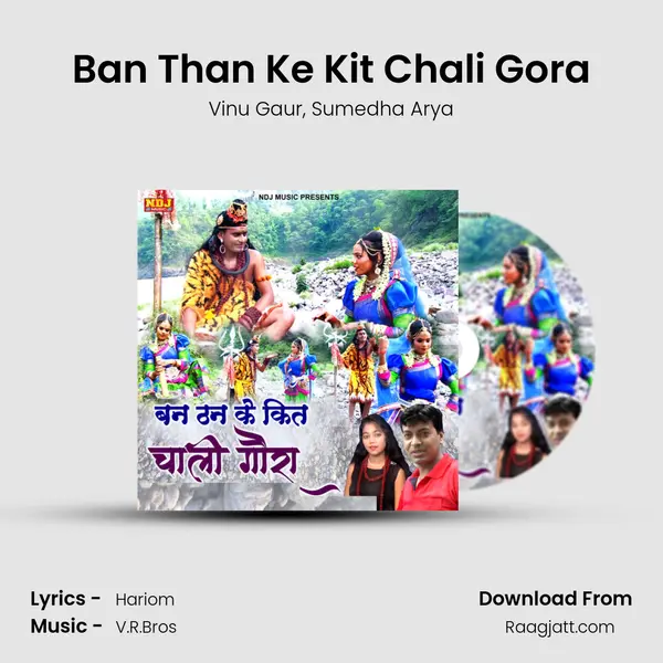 Ban Than Ke Kit Chali Gora - Vinu Gaur album cover 