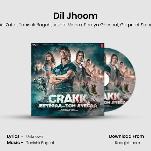 Dil Jhoom - Ali Zafar album cover 