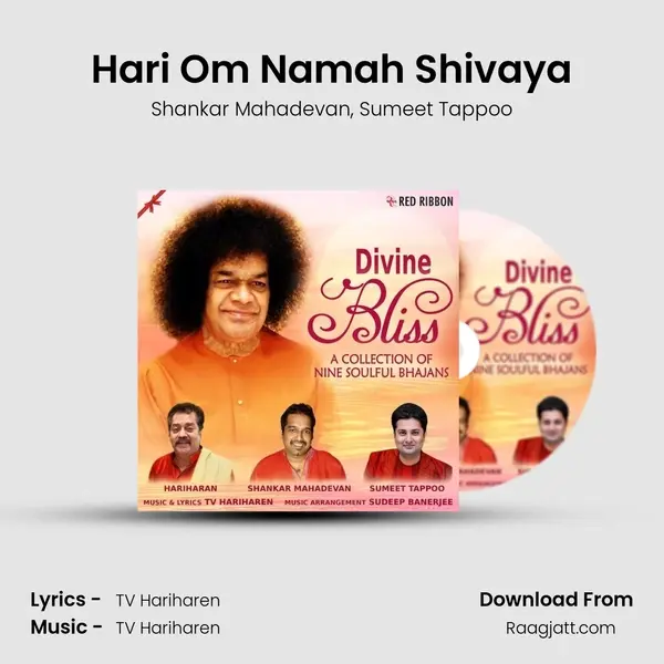 Hari Om Namah Shivaya - Shankar Mahadevan album cover 