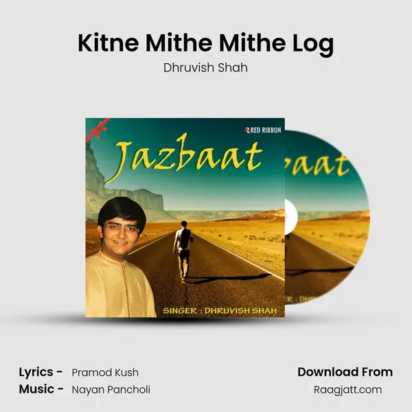 Kitne Mithe Mithe Log mp3 song