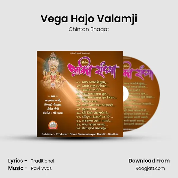 Vega Hajo Valamji - Chintan Bhagat album cover 