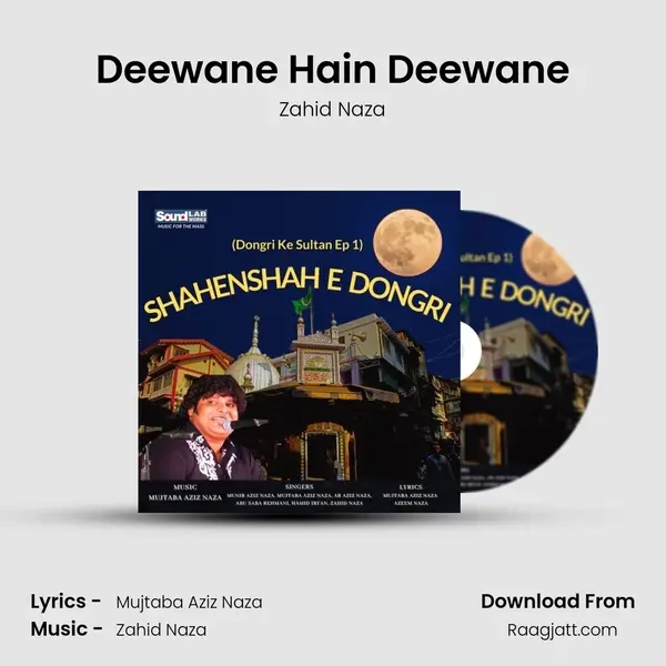 Deewane Hain Deewane - Zahid Naza album cover 