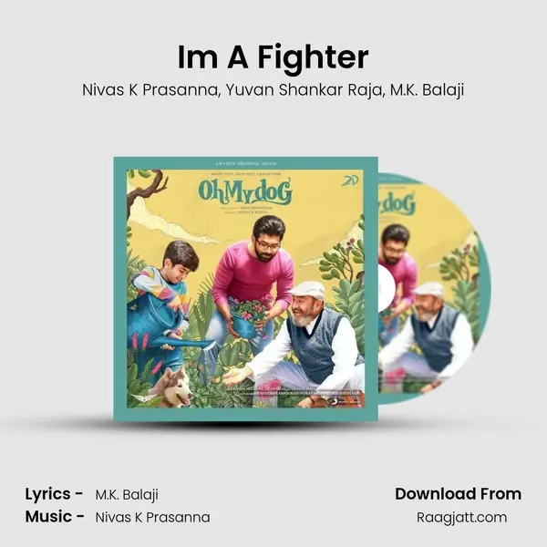 I'm A Fighter - Nivas K Prasanna album cover 