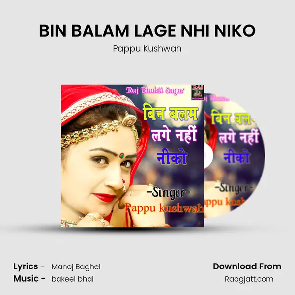 BIN BALAM LAGE NHI NIKO mp3 song