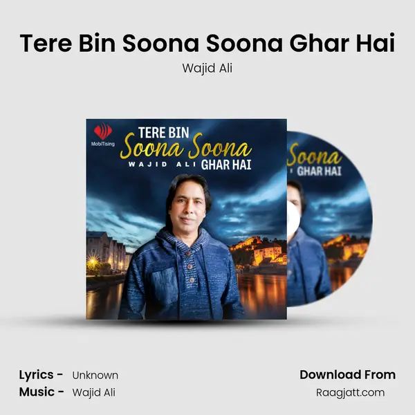 Tere Bin Soona Soona Ghar Hai - Wajid Ali album cover 