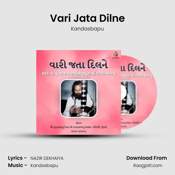 Vari Jata Dilne - Kandasbapu album cover 