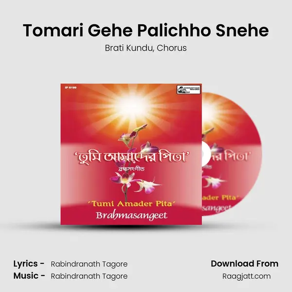 Tomari Gehe Palichho Snehe - Brati Kundu album cover 