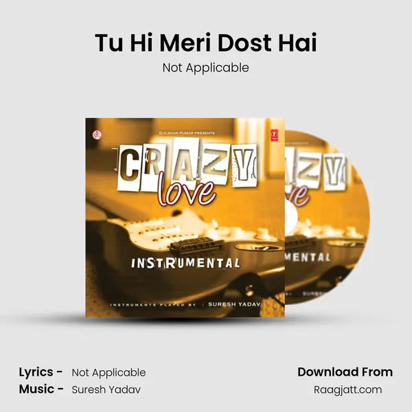 Tu Hi Meri Dost Hai mp3 song