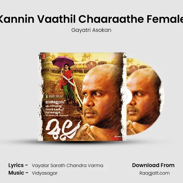 Kannin Vaathil Chaaraathe Female - Gayatri Asokan album cover 