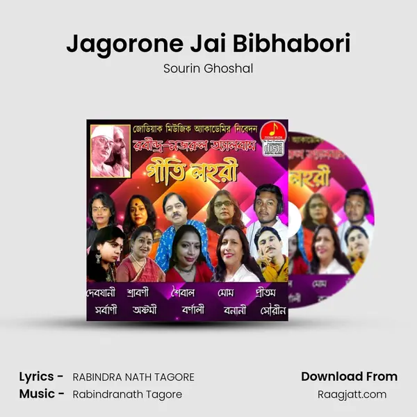 Jagorone Jai Bibhabori - Sourin Ghoshal album cover 