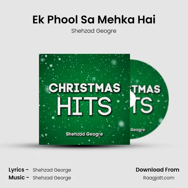 Ek Phool Sa Mehka Hai - Shehzad Geogre album cover 