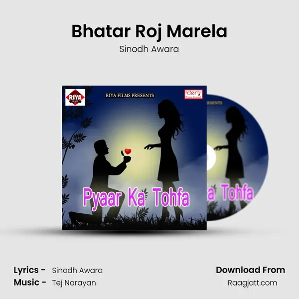 Bhatar Roj Marela - Sinodh Awara album cover 