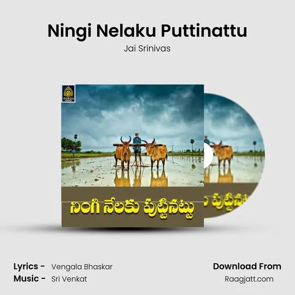 Ningi Nelaku Puttinattu - Jai Srinivas album cover 