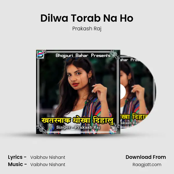 Dilwa Torab Na Ho mp3 song