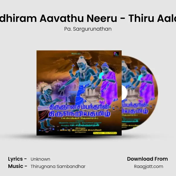 Mandhiram Aavathu Neeru - Thiru Aalavoy - Pa. Sargurunathan album cover 