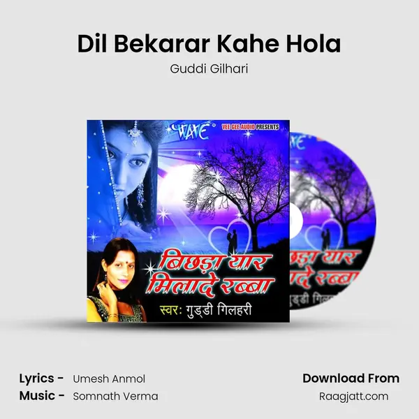 Dil Bekarar Kahe Hola - Guddi Gilhari album cover 