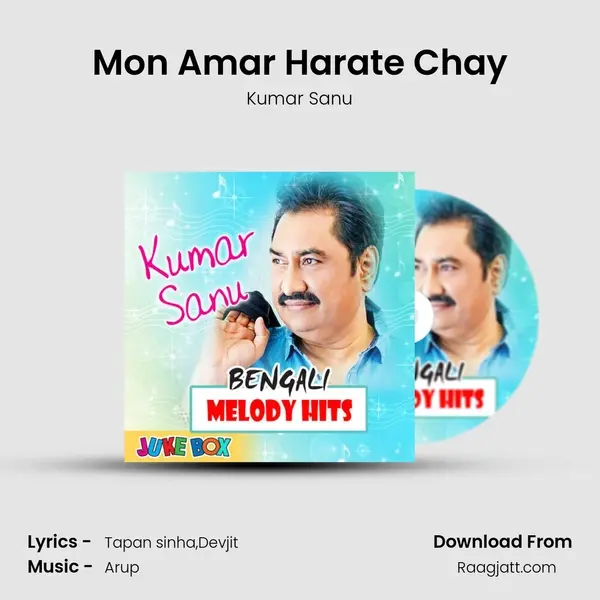 Mon Amar Harate Chay - Kumar Sanu album cover 